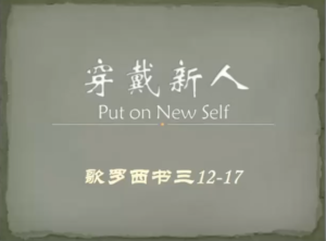 《穿戴新人》西三12-17