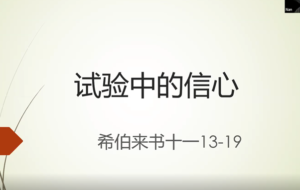 门训：《试验中的信心》来十一13-19  2021/11/22